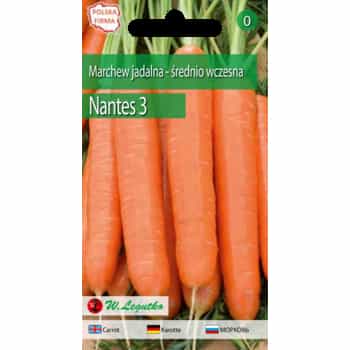 Carrot Nantes 3 - medium early variety for garden cultivation 2