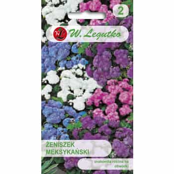 American Ageratum - Mixed colors for your garden 2