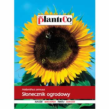 PlantiCo Edible sunflower seeds - grow your own sunflowers! 2