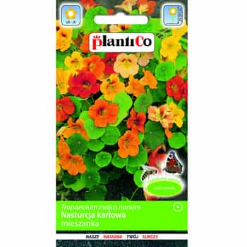Plantico Nasturtium dwarf - mix of edible flowers for your garden 2
