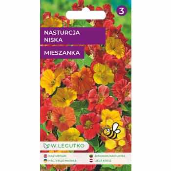 Dwarf Nasturtium Mix - Colorful flowers for your garden 2