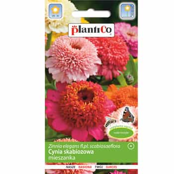 Plantico Zinnia Scabiosa Flowered Mix Seeds - flowers attracting butterflies 2