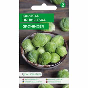 Brussels sprouts Groninger - ideal for growing in the garden 2