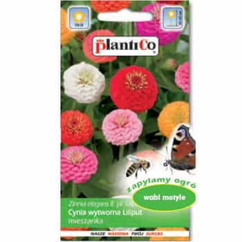 Plantico Zinnia Dahlia Liliput - seed mix for flower beds and balconies 2