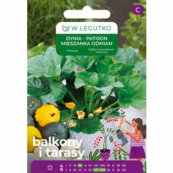 Pattypan Squash Mix - early, high-yielding, colorful 2