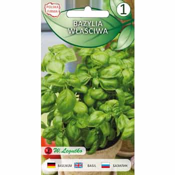 Legutko Basil - aromatic spice for your dishes 2