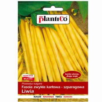 PlantiCo Dwarf Bean Liwia - ideal for growing in the garden 2