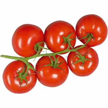 Vine Tomatoes - Spanish Tomatoes Class I - 5kg 2