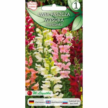 Snapdragon Seeds - Color mix for your garden 2
