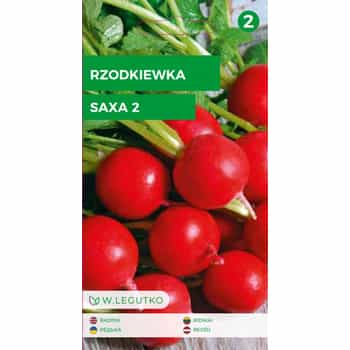 Legutko Radish Saxa 2 - early variety for your garden 2
