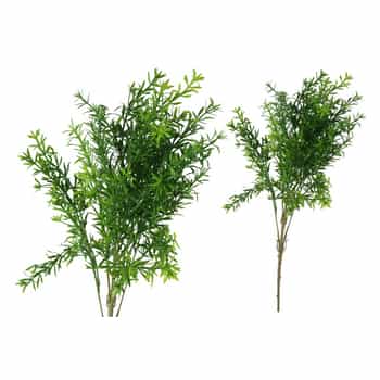 Asparagus Branch 48 cm - decoration for any interior 2