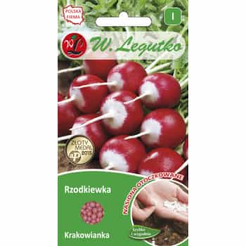 Radish Krakowianka coated - easy to grow, abundant harvest 2