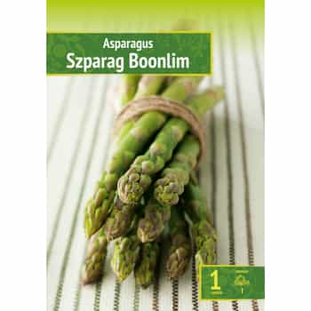 Asparagus Boonlim - perennial plant for your garden 2