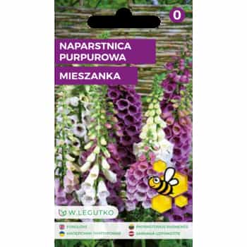 Foxglove Purple Mix - biennial ornamental plant 2