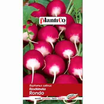 Plantico Radish Rondo - seeds for ground and tunnel cultivation 2