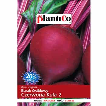 Plantico Beetroot Red Globe - ideal for processing 2