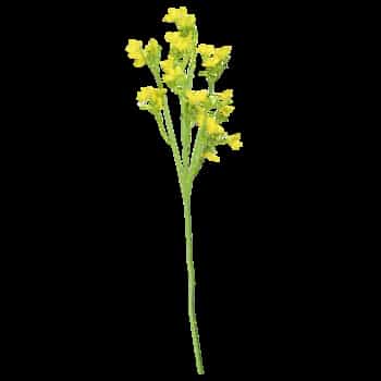Rapeseed branch 68 cm - artificial floral decoration 3