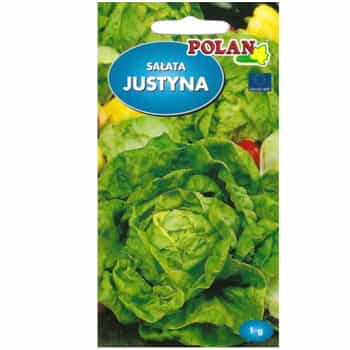 PlantiCo Butterhead lettuce Justyna - ideal for spring salads 2
