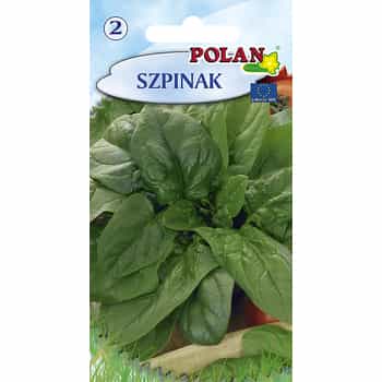 Spinach Giant Polan - universal variety ideal for freezing 2