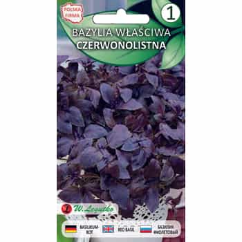 Basil True Red-leaved - aromatic plant for your garden 2