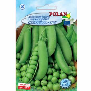 Shelling Pea - Seeds for amateur cultivation 2