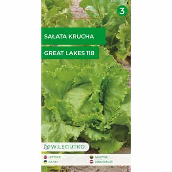 Crisphead lettuce Great Lakes 118 - fresh and crisp 2