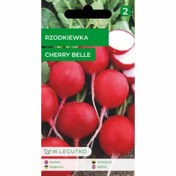 Radish Cherry Belle - ideal for spring salads 2