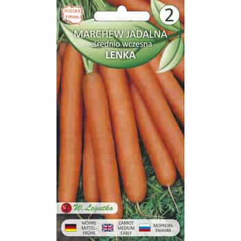 Legutko Edible Carrot Lenka - ideal for growing in your garden 2