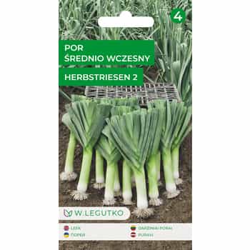 Medium early leek Herbstriesen 2 - ideal for soups and salads 2