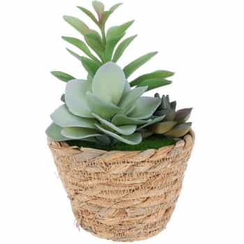 Succulent in basket - Artificial ornamental plant 16 cm 2