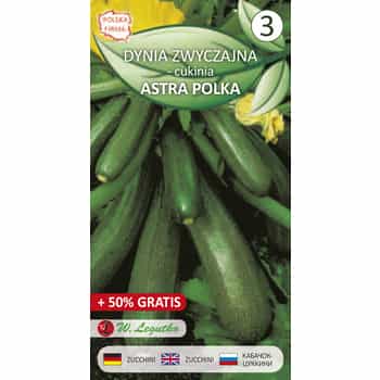 Zucchini Leguto - early variety for your garden 2