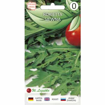 Legutko Rocket Salad - annual plant ideal for salads 2