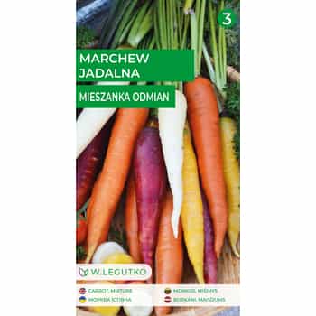 Edible carrot mix - colorful and tasty 2