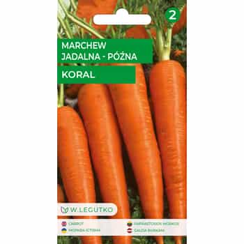 Edible Carrot Late Karol - ideal for storage 2
