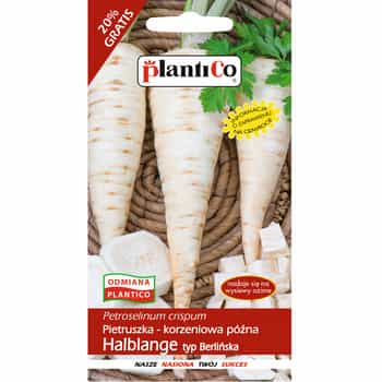 Plantico Parsley Halblange - late root variety for storage 2