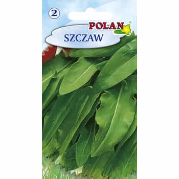 Belwilski Polan Sorrel - early variety for your garden 2