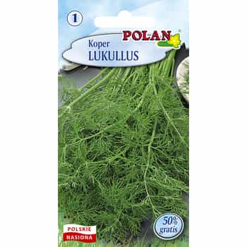Dill Lukullus Polan - early variety for your garden 2