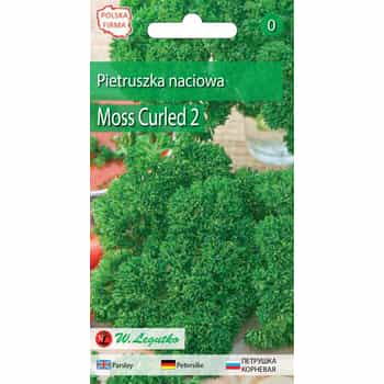 Curly Parsley - fresh and aromatic for your kitchen 2