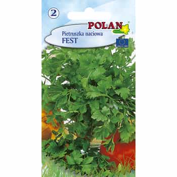 Parsley Fest Polan - early variety for year-round cultivation 2