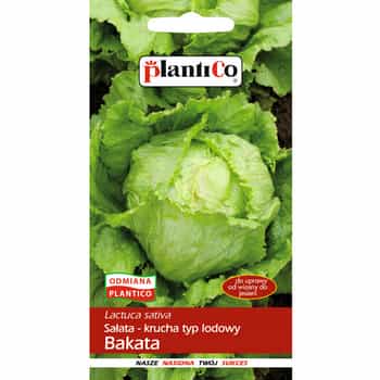 PlantiCo Lettuce crisphead Bakata - ideal for growing in the garden 2