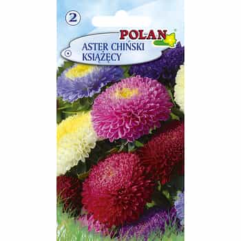 China Aster Prince mixture - flower seeds for ornamental plants - create a colorful garden 2