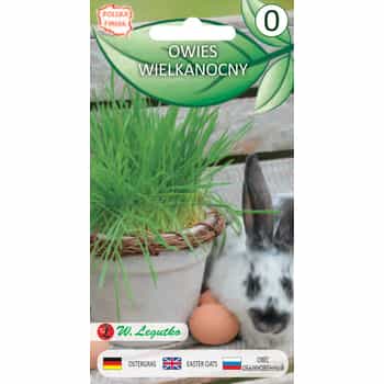 Legutko Easter Oats - spring decoration for your table 2