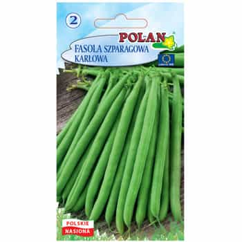 Dwarf Green Bean - Early variety for your garden 2
