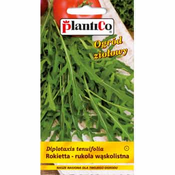 PlantiCo Arugula - aromatic herb for your kitchen 2