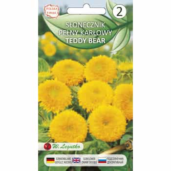 Dwarf sunflower seeds - ideal for small gardens 2
