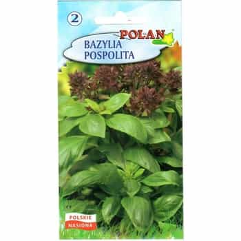 Basil Polan - aromatic spice for your kitchen 2