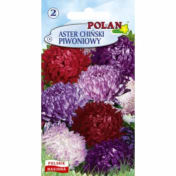 Chinese Peony Aster - Mixture of annual flower seeds - Decoration for every garden 2