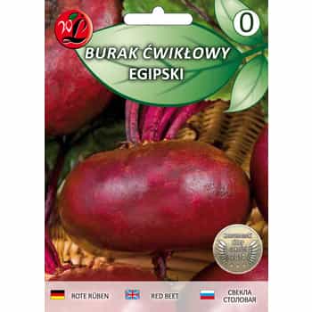 Egyptian Beetroot Seeds - ideal for early cultivation 2