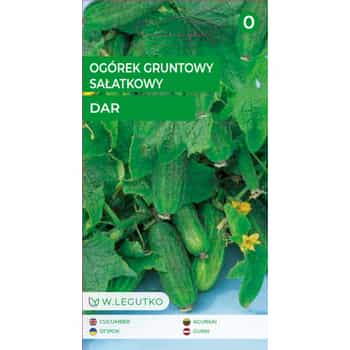 Cucumber Field Salad Dar - Organic Seeds for Your Garden 2