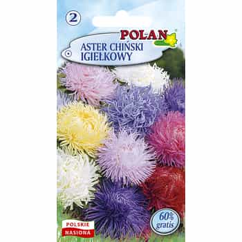 China Aster Needle - Mix of annual flower seeds - ideal for flower beds 2